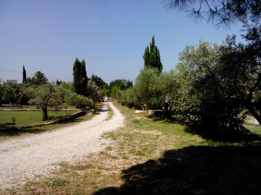 Mas Des Collines Bed & Breakfast Fontvieille Room photo